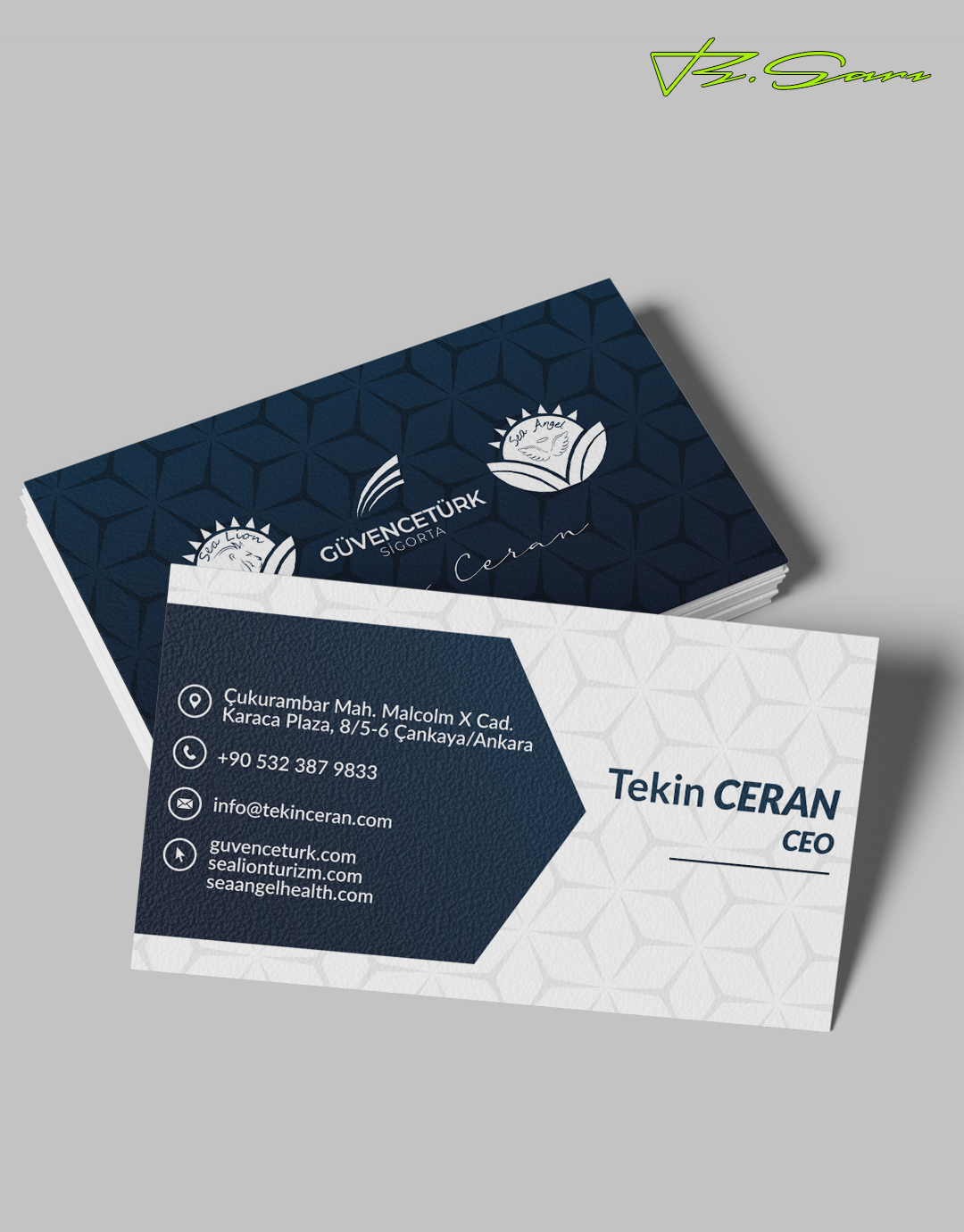 Sea Lion Turizm Bünyesinde Gerçekleştirilen Tasarım ve Dijital Çözümler