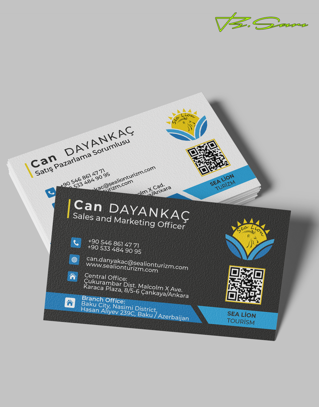 Sea Lion Turizm Bünyesinde Gerçekleştirilen Tasarım ve Dijital Çözümler