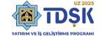 tdsk-logo-icon